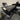 Brother DTX PRO hybrid DTG/DTF Garment Printer