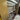 SAATI Dual Pro-Coat Auto Coater 25x36