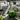  ROQ YOU M 6 Color 8 Station Automatic Press
