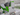ROQ PACK
