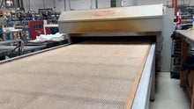 Raypaul Cure Air Drying Systems Gas Conveyor Dryer